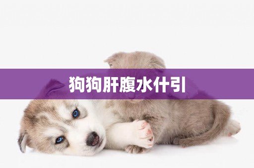 狗狗肝腹水什引