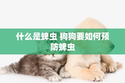 什么是蜱蟲 狗狗要如何預防蜱蟲