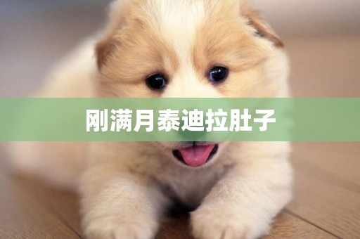 剛滿月泰迪拉肚子