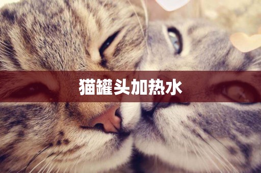 貓罐頭加熱水