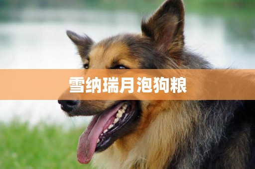雪納瑞月泡狗糧