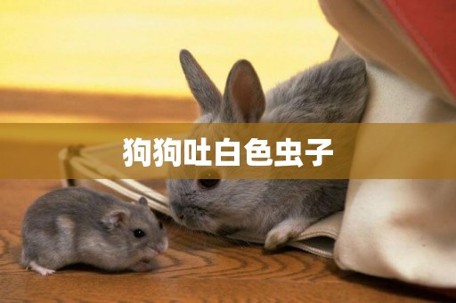 狗狗吐白色蟲子