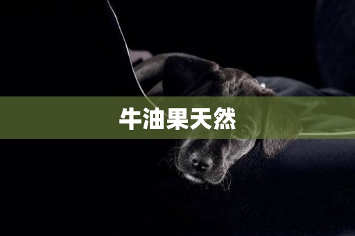 牛油果天然