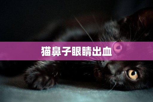 貓鼻子眼睛出血