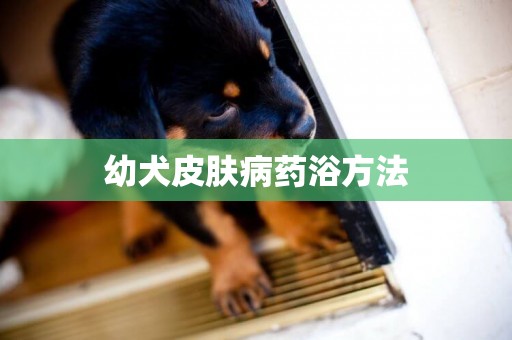幼犬皮膚病藥浴方法