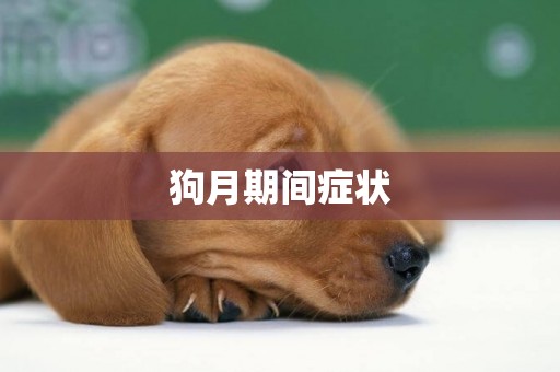 狗月期間癥狀