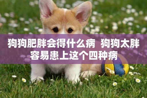 狗狗肥胖會得什么病  狗狗太胖容易患上這個四種病