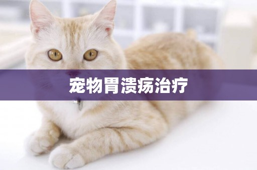 寵物胃潰瘍治療