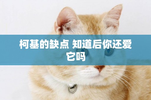 柯基的缺點 知道后你還愛它嗎