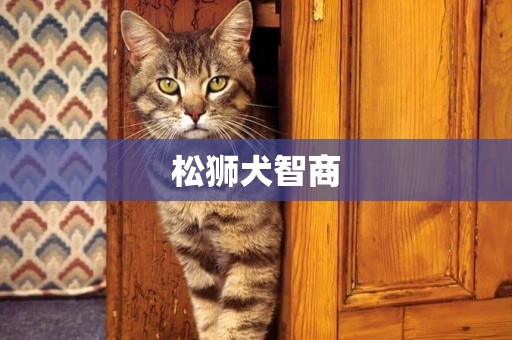 松獅犬智商