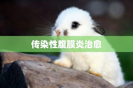 傳染性腹膜炎治愈