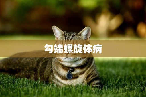 勾端螺旋體病