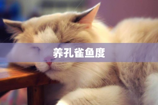 養孔雀魚度
