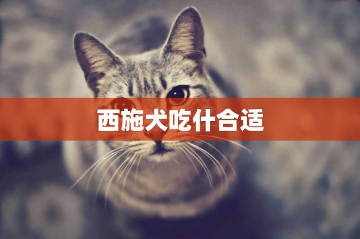 西施犬吃什合適