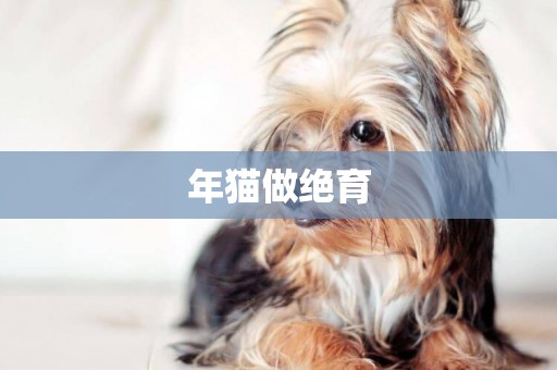 年貓做絕育