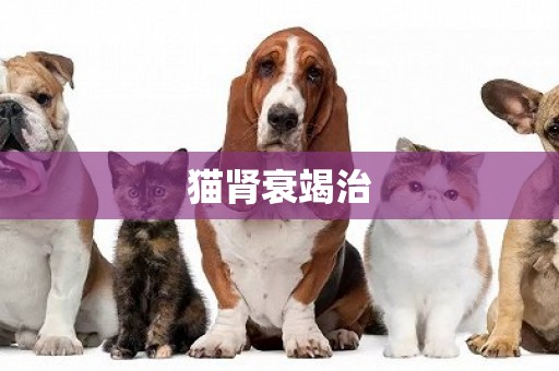 貓腎衰竭治