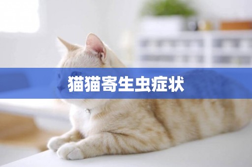 貓貓寄生蟲癥狀