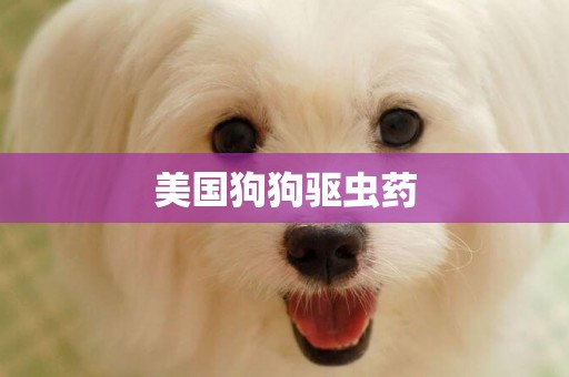 美國狗狗驅蟲藥