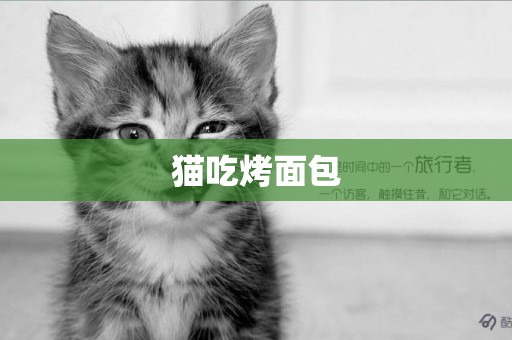 貓吃烤面包