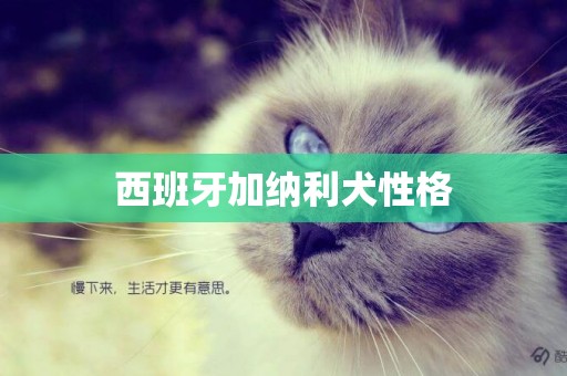 西班牙加納利犬性格