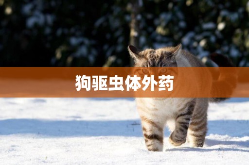 狗驅蟲體外藥
