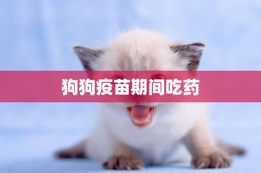狗狗疫苗期間吃藥