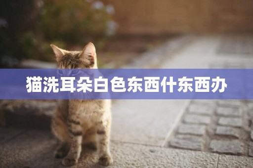 貓洗耳朵白色東西什東西辦