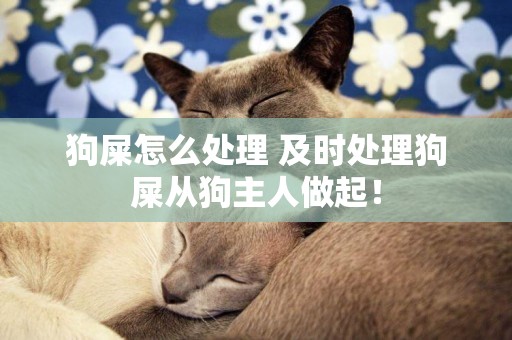 狗屎怎么處理 及時處理狗屎從狗主人做起！