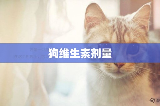 狗維生素劑量