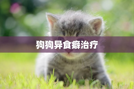 狗狗異食癖治療