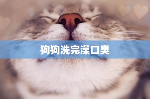 狗狗洗完澡口臭