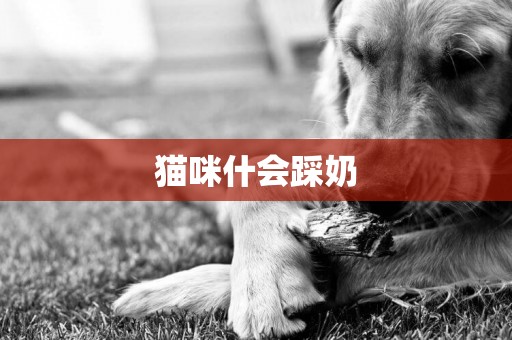 貓咪什會踩奶
