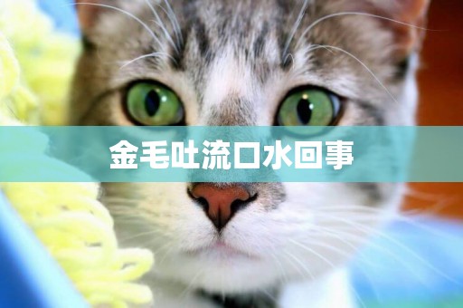 金毛吐流口水回事