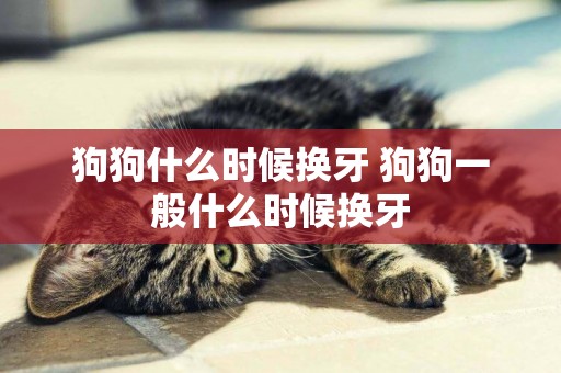 狗狗什么時候換牙 狗狗一般什么時候換牙