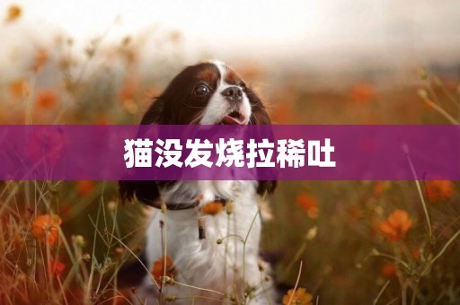 貓沒發燒拉稀吐