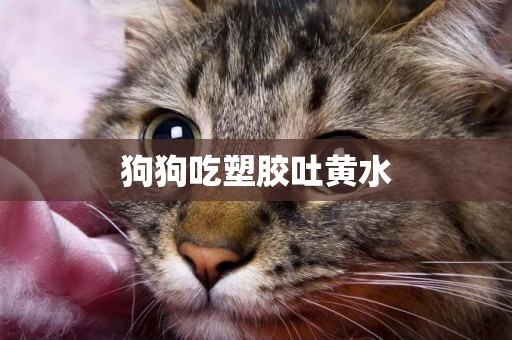 狗狗吃塑膠吐黃水