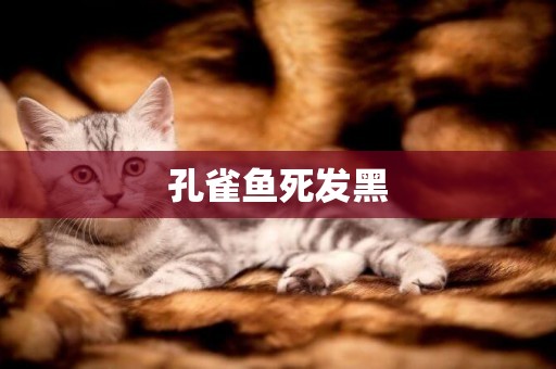 孔雀魚死發黑