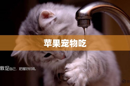 蘋果寵物吃