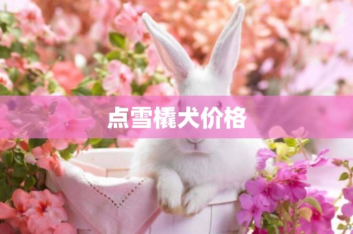 點雪橇犬價格