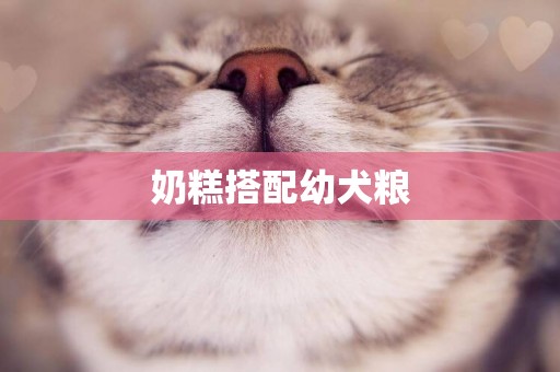 奶糕搭配幼犬糧