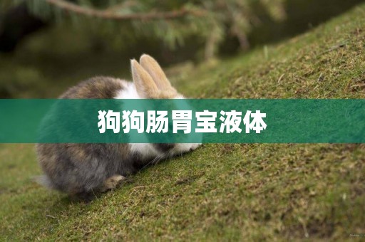 狗狗腸胃寶液體