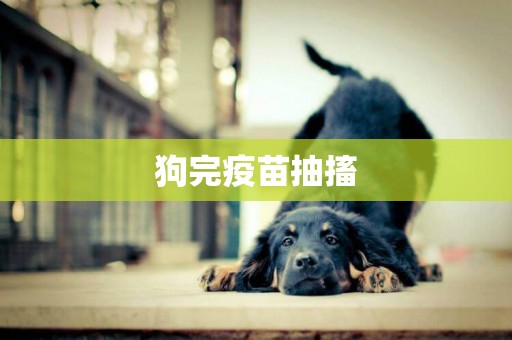 狗完疫苗抽搐