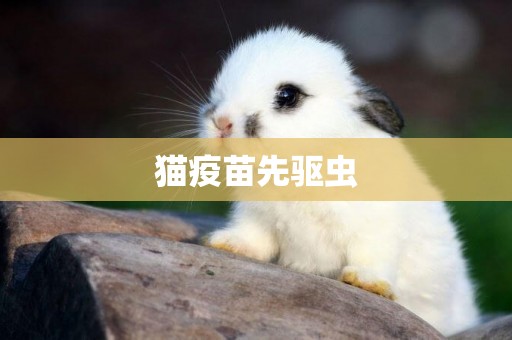 貓疫苗先驅蟲
