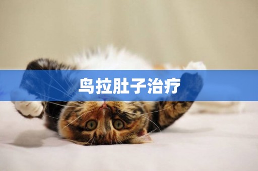 鳥拉肚子治療