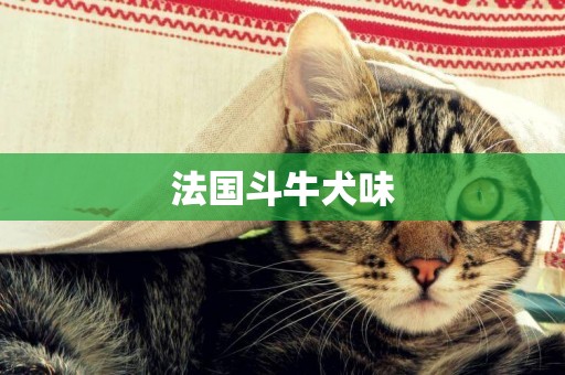 法國斗牛犬味