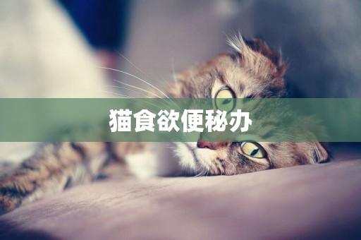 貓食欲便秘辦