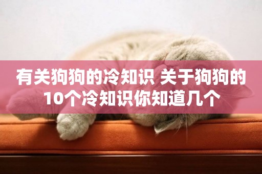 有關狗狗的冷知識 關于狗狗的10個冷知識你知道幾個