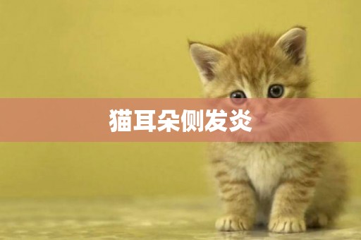 貓耳朵側發炎