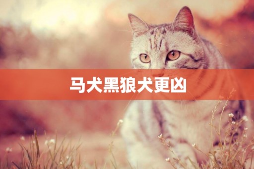 馬犬黑狼犬更兇