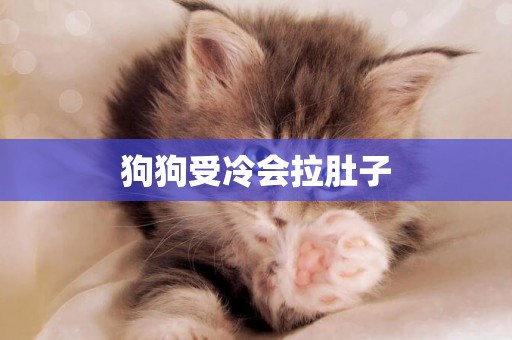 狗狗受冷會拉肚子